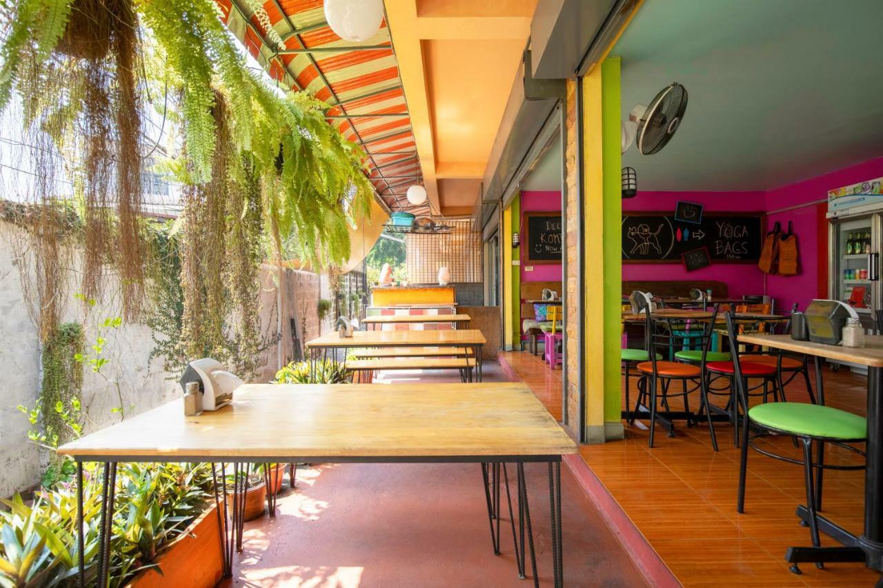Cat House Hotel Chiang Mai Exterior photo
